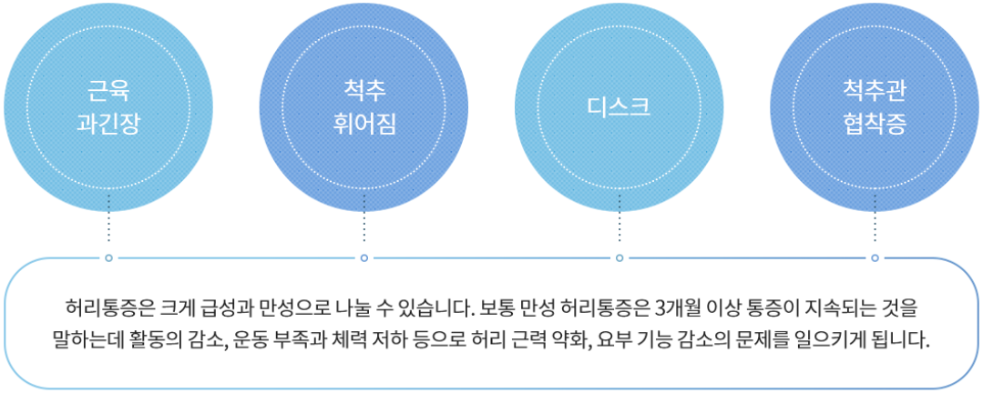 허리 통증의 원인