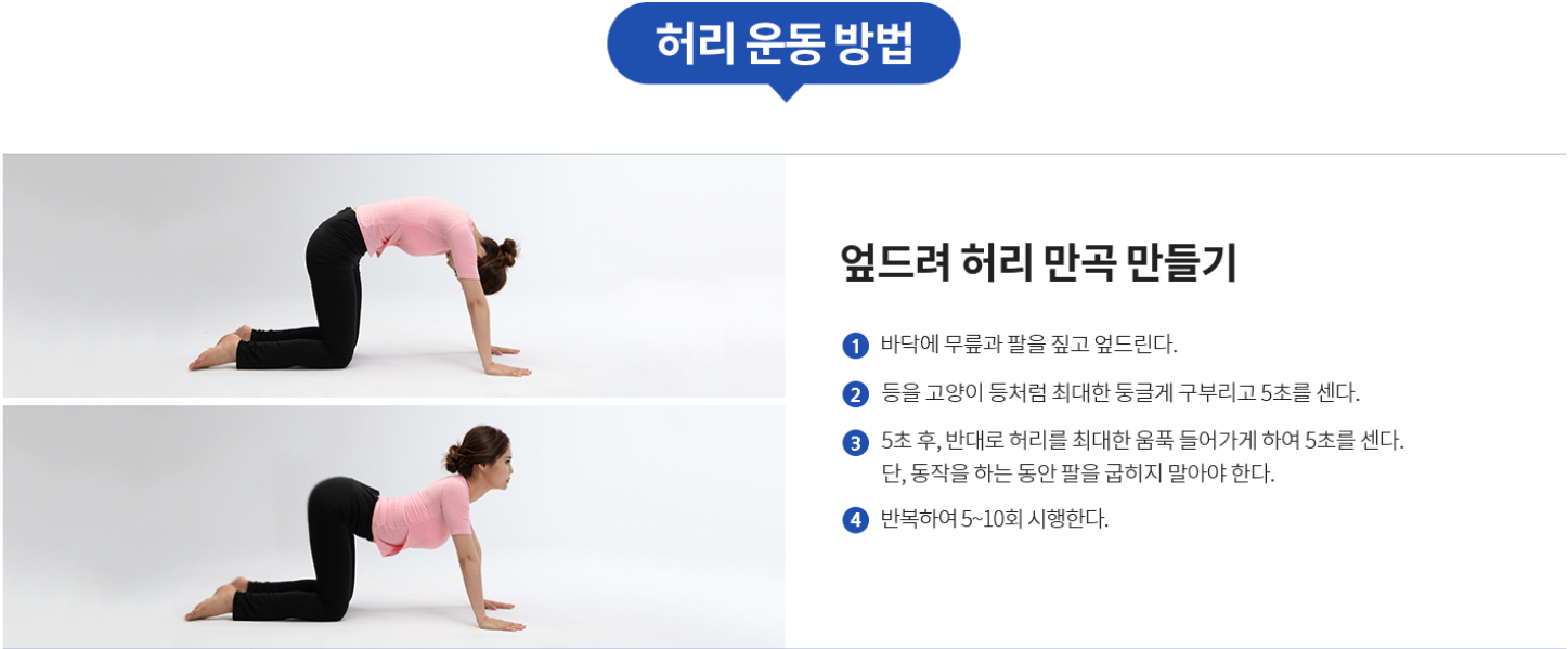 허리운동방법1